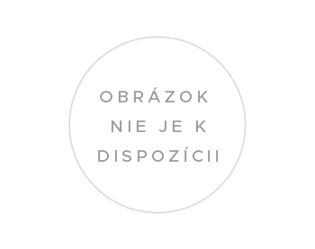 Vonkajšia pamäť